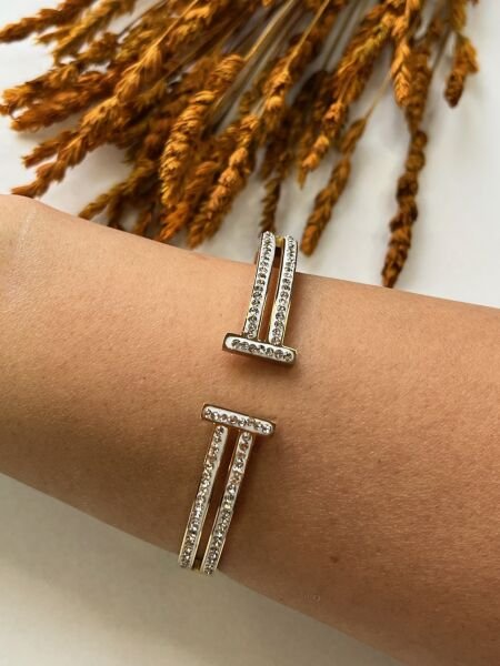 Çelik Kelepçe | 316L Paslanmaz Çelik | Gold/Silver Renk | Suya Dayanıklı