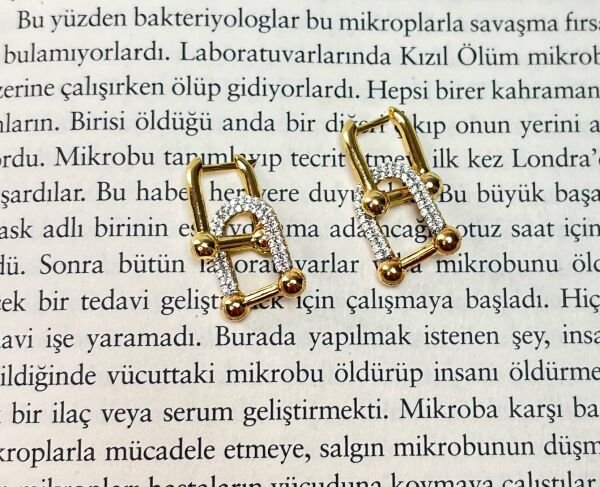 Çelik Küpe | 316L Paslanmaz Çelik | Gold Renk | Suya Dayanıklı