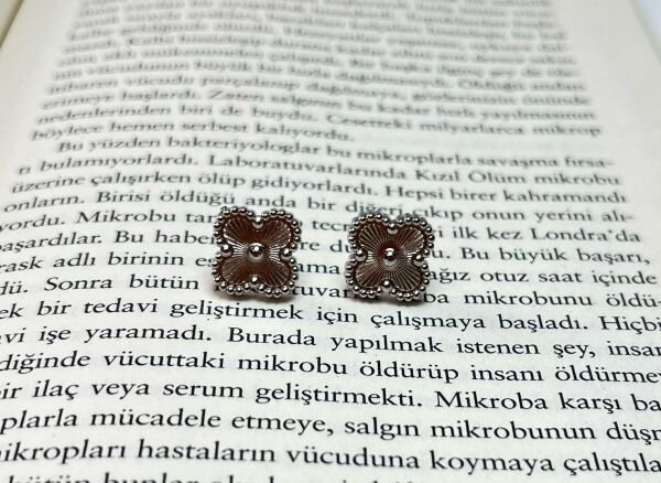 Çelik Küpe | 316L Paslanmaz Çelik | Silver Renk | Suya Dayanıklı