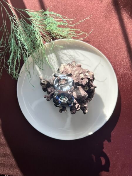 Premium Kelepçe | VIP Özel Seri | Xuping Tarzı Işıltı | Gold/Silver Renk Silver