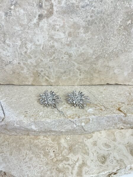 Premium Altın Kaplama Küpe | VIP Özel Seri | Xuping Tarzı Işıltı Silver