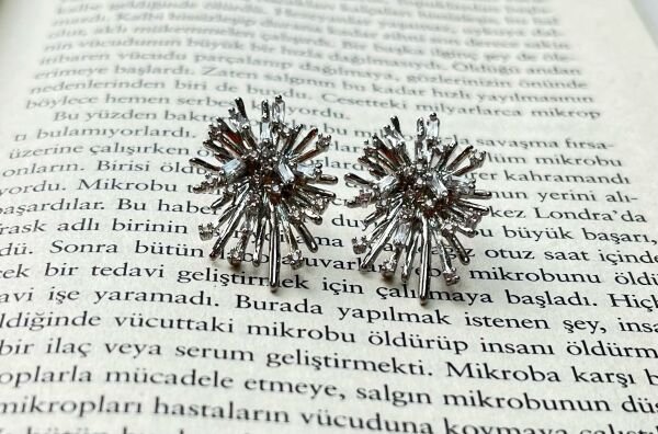 Premium Altın Kaplama Küpe | VIP Özel Seri | Xuping Tarzı Işıltı Silver