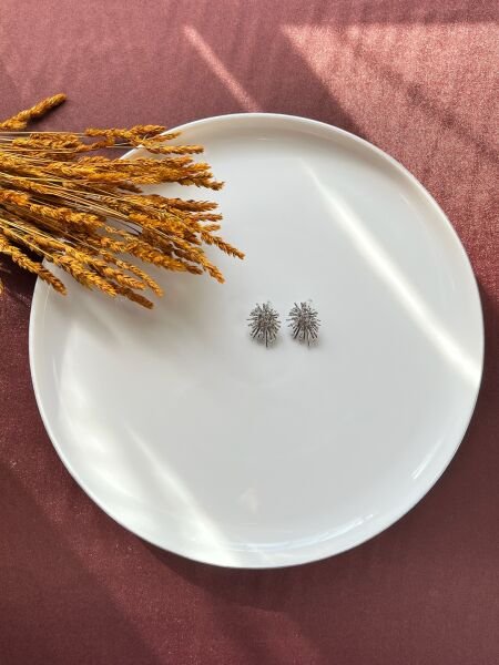 Premium Altın Kaplama Küpe | VIP Özel Seri | Xuping Tarzı Işıltı Silver