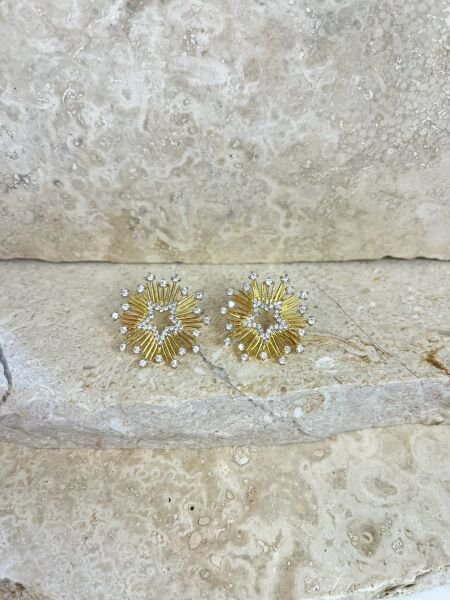 Premium Altın Kaplama Küpe | VIP Özel Seri | Xuping Tarzı Işıltı | Gold Renk