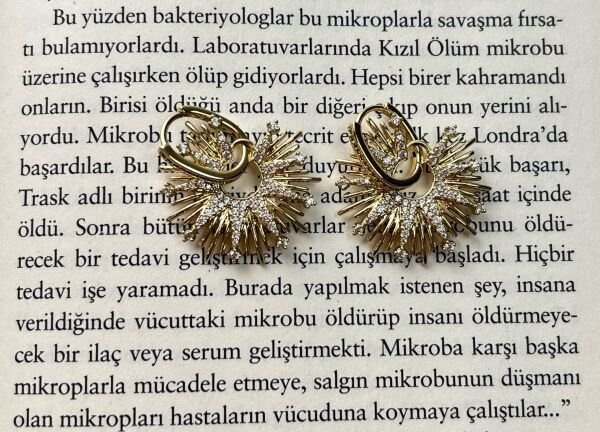 Premium Altın Kaplama Küpe | VIP Özel Seri | Xuping Tarzı Işıltı | Gold Renk